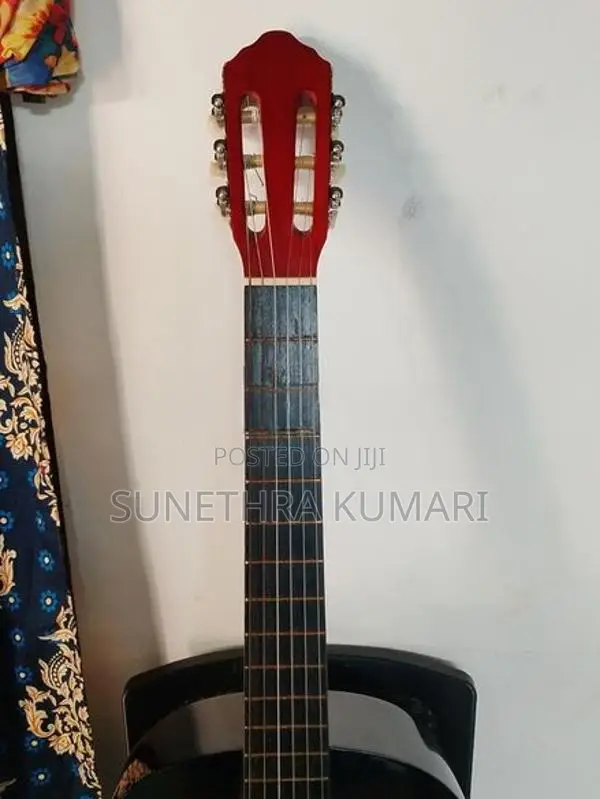 Box Guitar with Cover