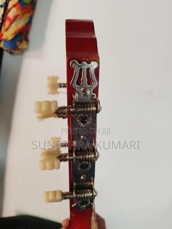 Box Guitar with Cover