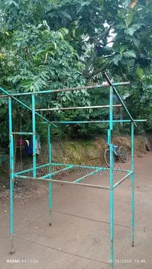Bird Cage