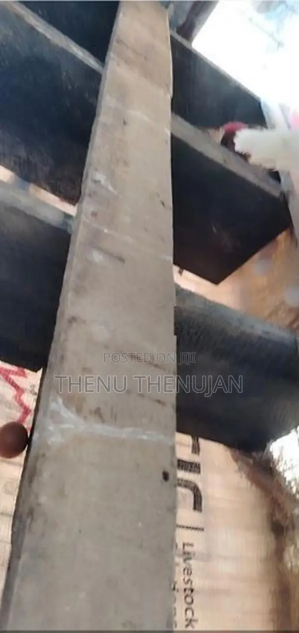 Muddai Koli