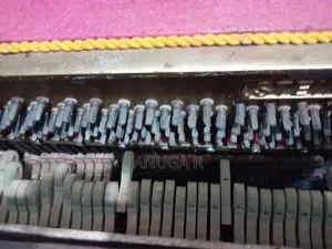 Steiner Piano