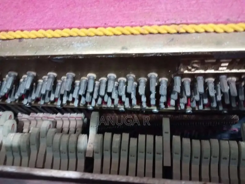 Steiner Piano