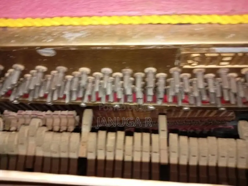 Steiner Piano