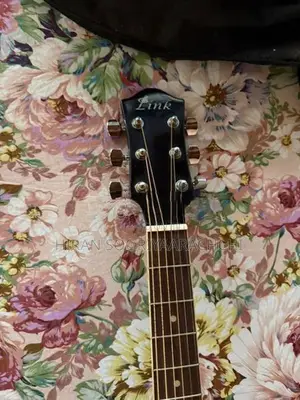Link Acoustic Guitar