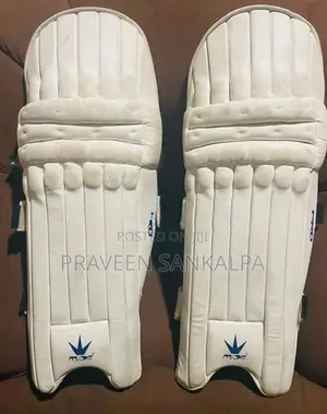 Cricket Equipment Set