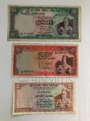 Old Notes