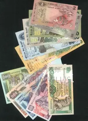 Old Notes