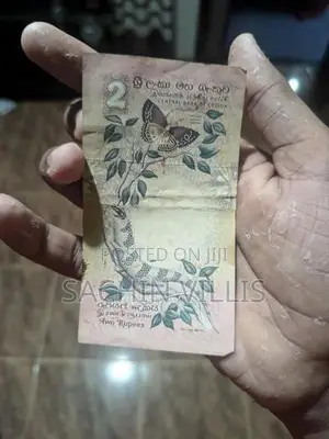 Old Notes