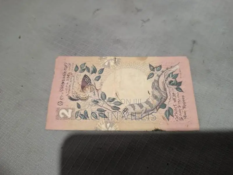 Old Notes