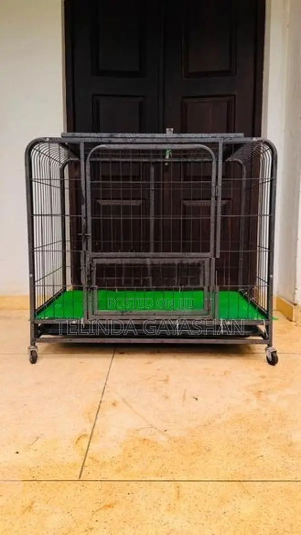 Dog Cage