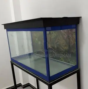 Fish Tank