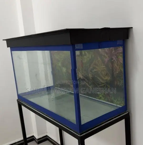 Fish Tank