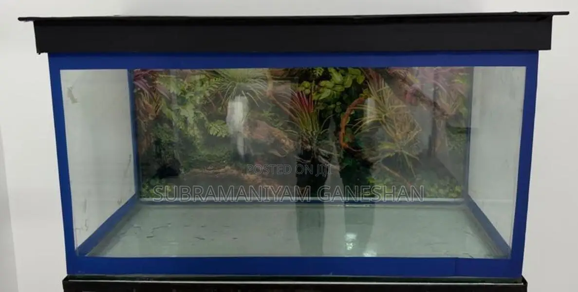 Fish Tank