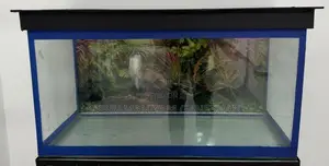 Fish Tank