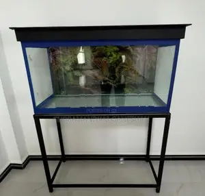 Fish Tank