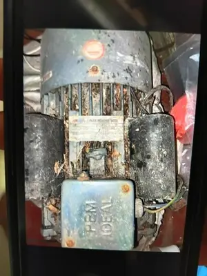 Pol Leli Chips Machine