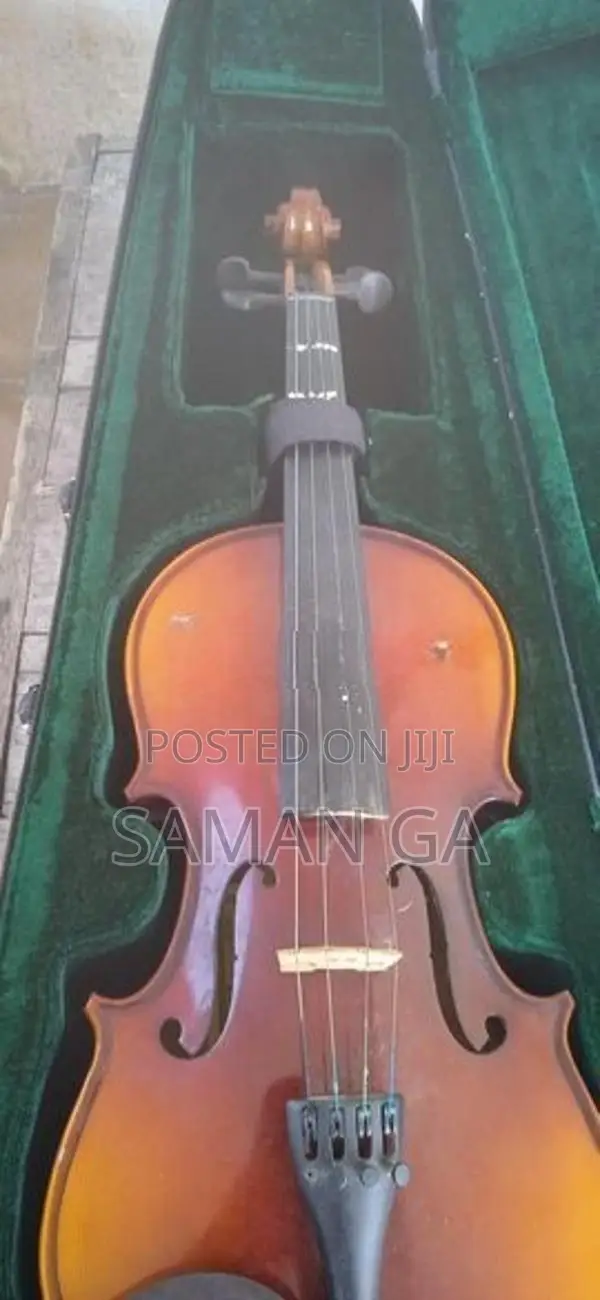 Violin