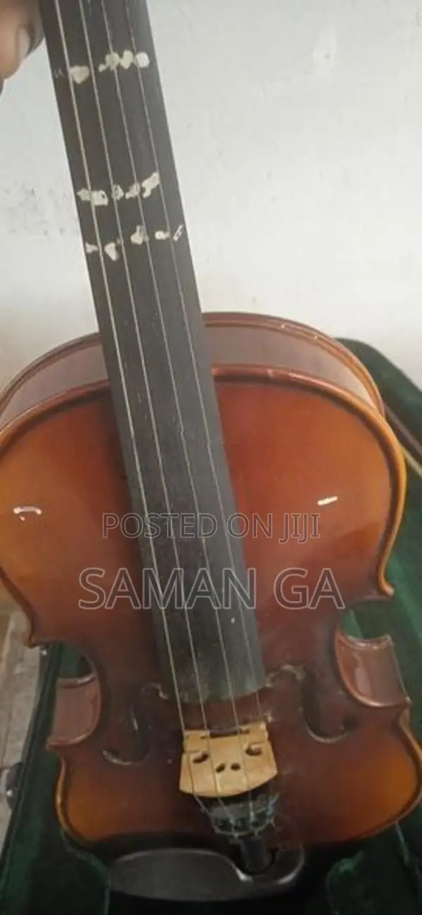 Violin