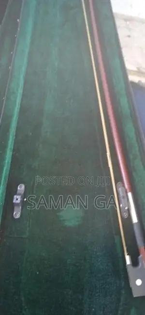 Violin
