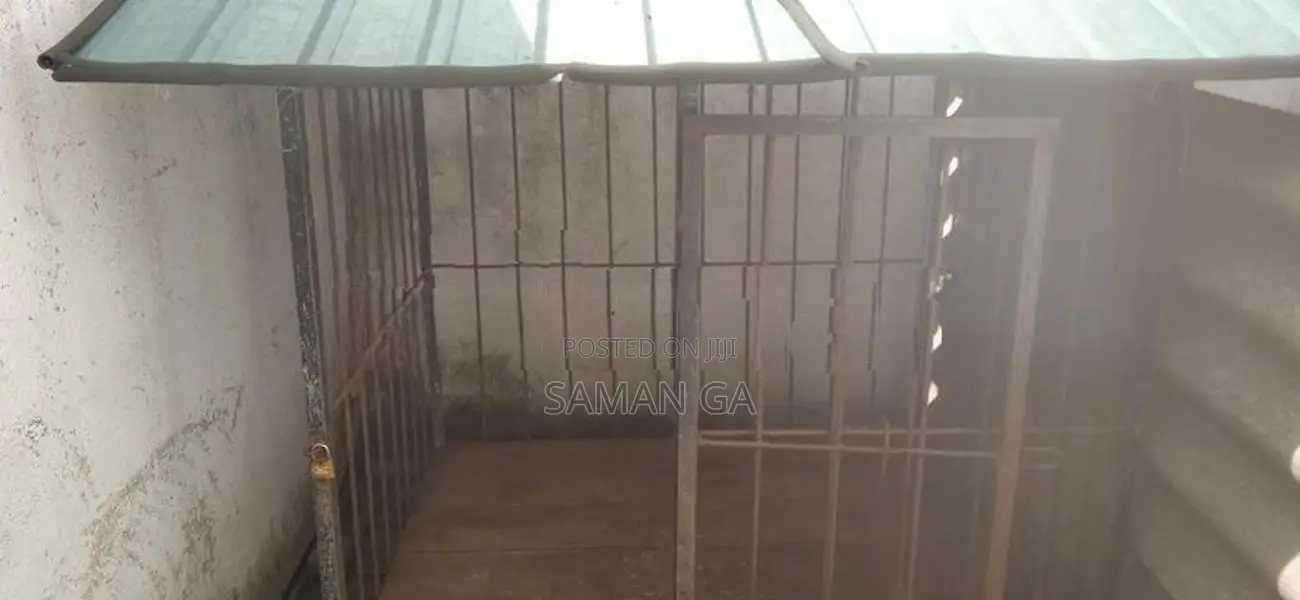Dog Kennel
