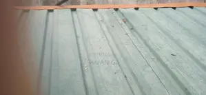 Dog Kennel