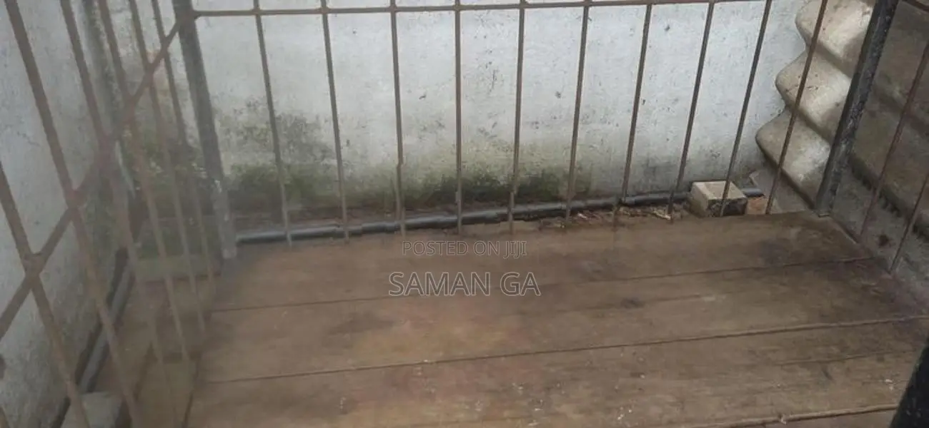 Dog Kennel