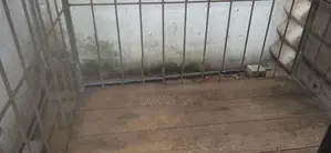 Dog Kennel