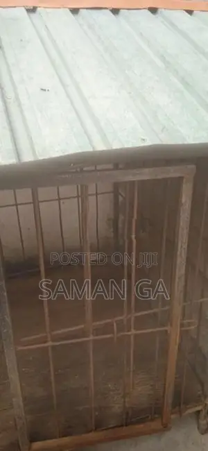 Dog Kennel