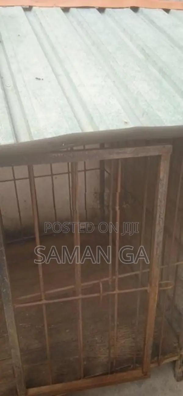 Dog Kennel