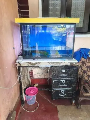 Fish Tank For Sell
