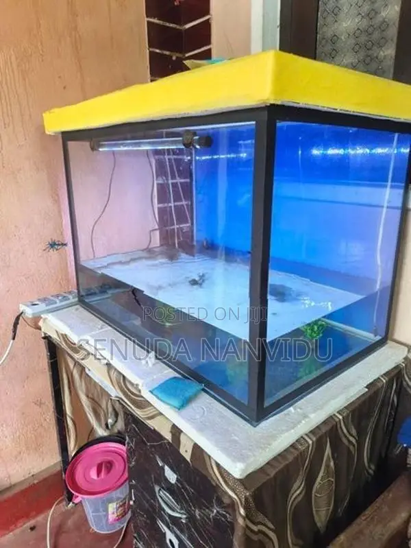 Fish Tank For Sell