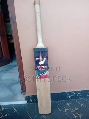 Cricket Bat