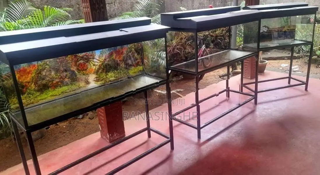 4ft With 3ft Brand New Fish Tank