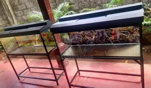4ft With 3ft Brand New Fish Tank