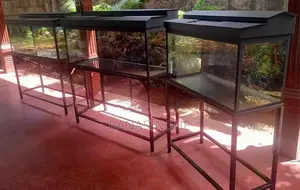4ft With 3ft Brand New Fish Tank