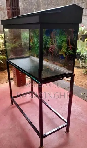 4ft With 3ft Brand New Fish Tank