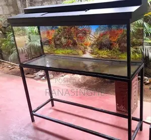 4ft With 3ft Brand New Fish Tank
