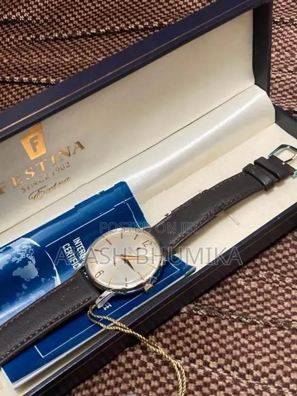 Festina Watch