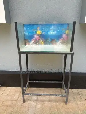 Fish Tank With Stand
