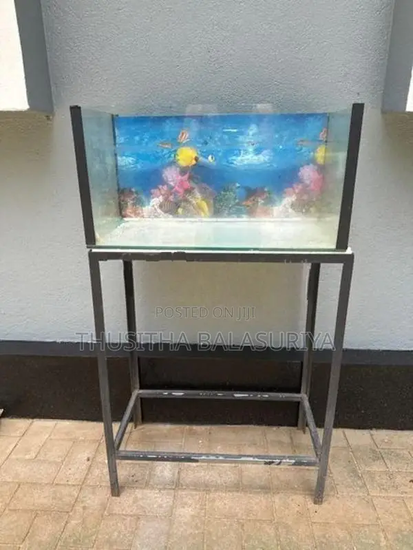 Fish Tank With Stand