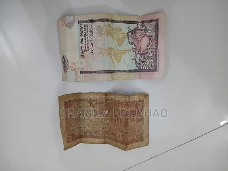 Old Notes with Coins