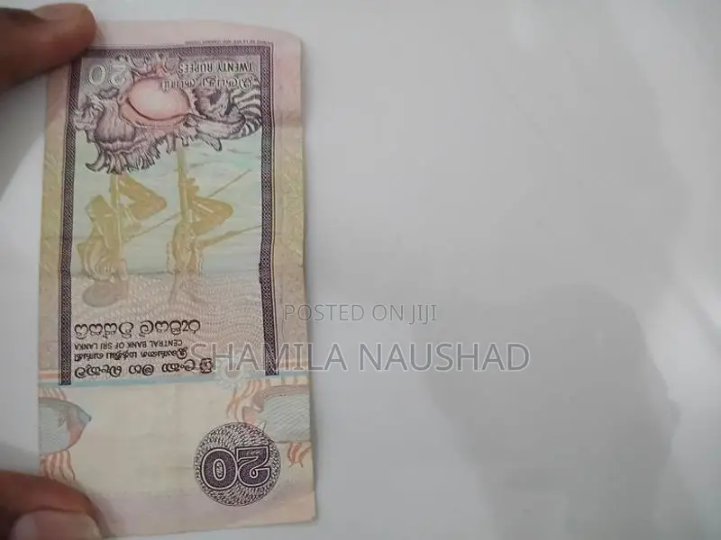 Old Notes with Coins