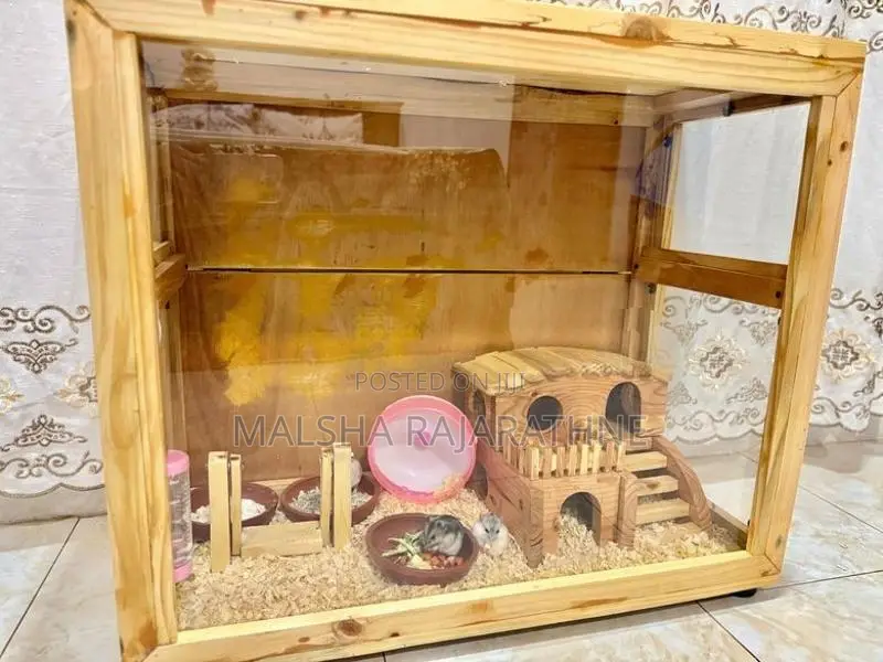 Hamster Cage