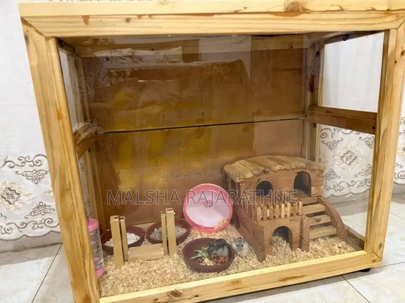 Hamster Cage