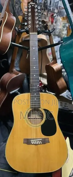 12 Strings Japan Semi Acoustic Guitar
