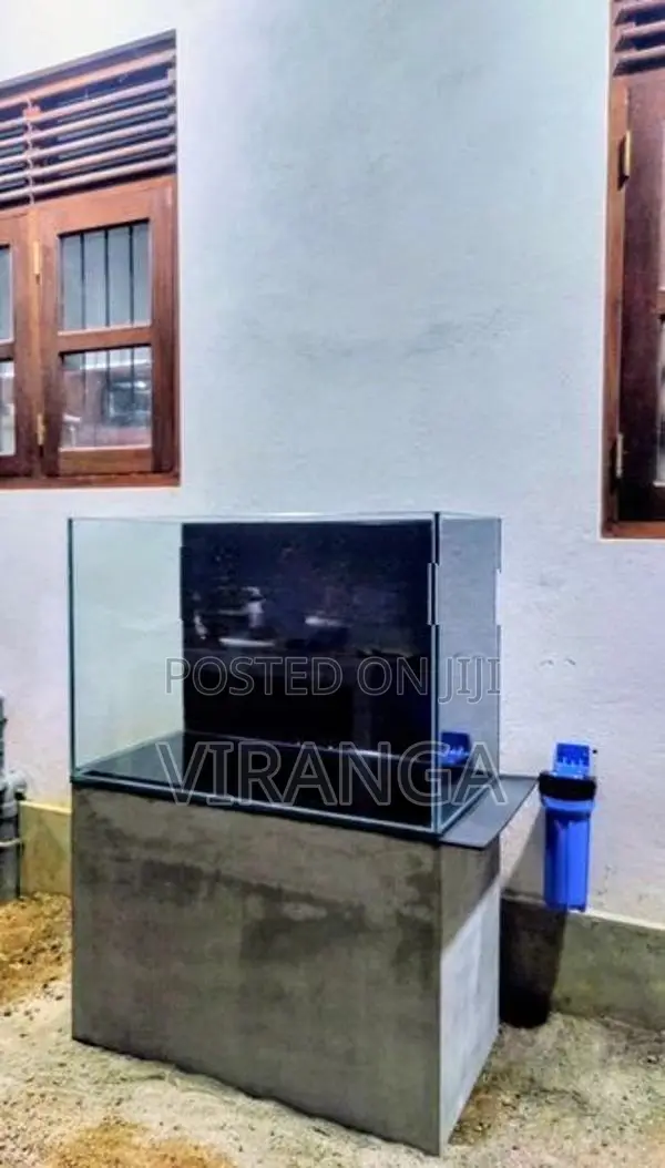 Fish Tank