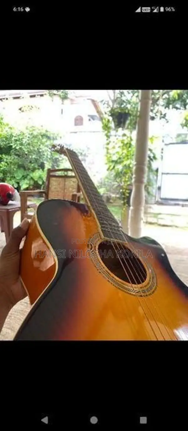 Guitar