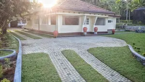 Malaysian Grass