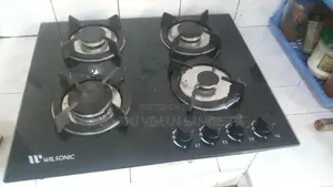 Wilsonic 4 Burner Cooker