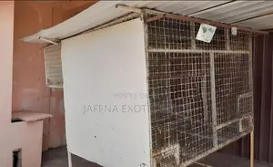 Used Bird Cages